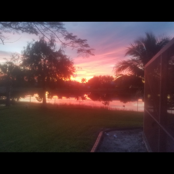 palmbeachman1